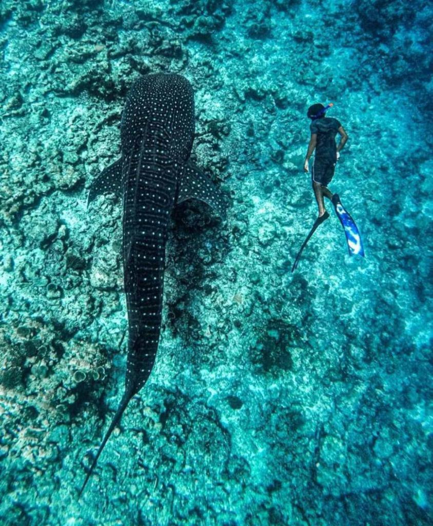 Raalhu Fonu Maldives Hotel Mahibadhoo Eksteriør billede